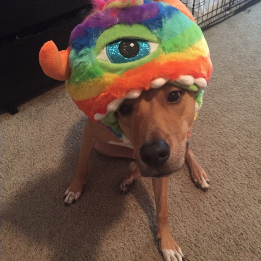 Meet your Posher, Judith